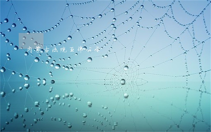 内蒙古法院王伟公示