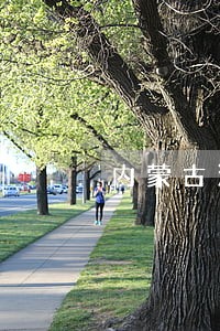 内蒙古法院老赖名单图片 内蒙古法院老赖名单图片
