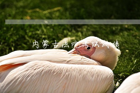 内蒙古法院考试成绩