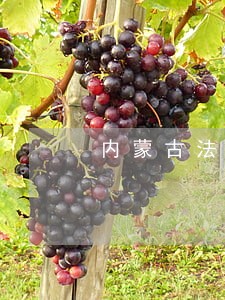 内蒙古法院贺海虹 内蒙古法院贺海虹