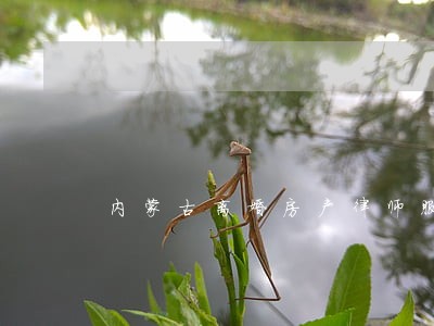 内蒙古离婚房产律师服务 内蒙古离婚房产律师服务