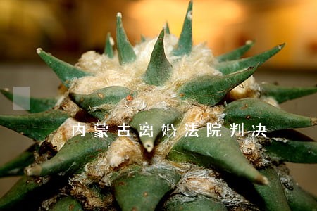 内蒙古离婚法院判决