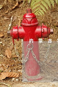 内蒙古考法院怎么考 内蒙古考法院怎么考