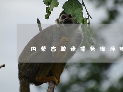 内蒙古聘请债务律师服务 内蒙古聘请债务律师服务