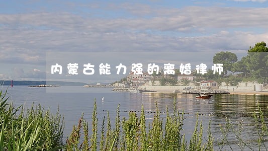 内蒙古能力强的离婚律师 内蒙古能力强的离婚律师