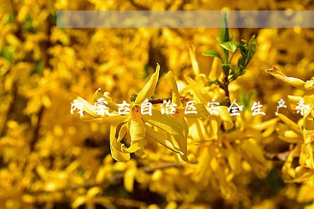 内蒙古自治区安全生产条例概括 内蒙古自治区安全生产条例概括
