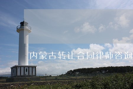 内蒙古转让合同律师咨询 内蒙古转让合同律师咨询
