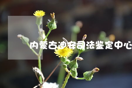内蒙古迪安司法鉴定中心招聘 内蒙古迪安司法鉴定中心招聘