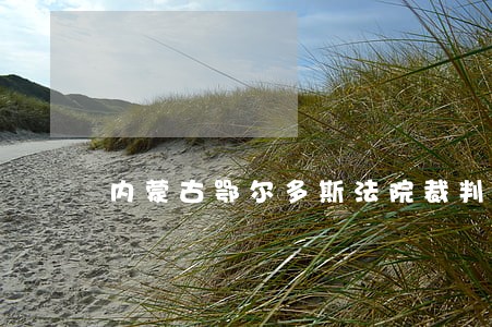 内蒙古鄂尔多斯法院裁判文书网 内蒙古鄂尔多斯法院裁判文书网