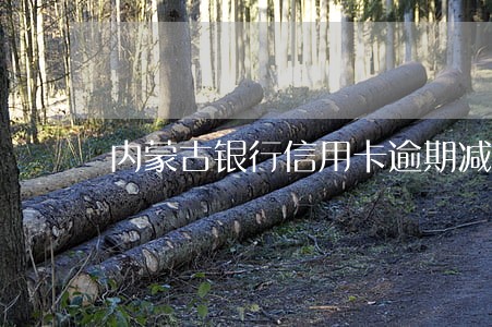 内蒙古银行信用卡逾期减免 内蒙古银行信用卡逾期减免