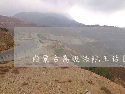 内蒙古高级法院王佐阾
