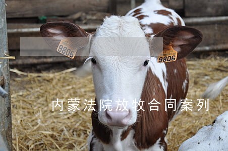 内蒙法院放牧合同案列
