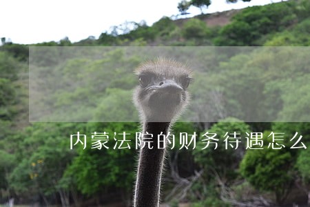 内蒙法院的财务待遇怎么样 内蒙法院的财务待遇怎么样
