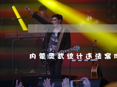 内蒙灵武统计违法案件