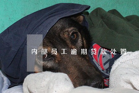 内部员工逾期贷款处置 内部员工逾期贷款处置