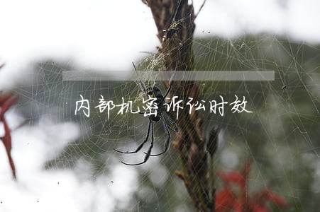 内部机密诉讼时效 内部机密诉讼时效