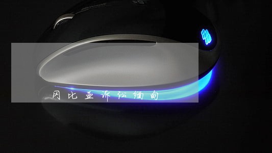冈比亚诉讼缅甸 冈比亚诉讼缅甸