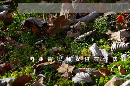 冉亚霞律师提供在线法律服务 冉亚霞律师提供在线法律服务