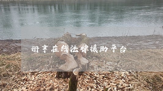 册亨在线法律援助平台 册亨在线法律援助平台