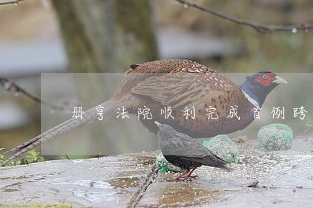 册亨法院顺利完成首例跨域立案 册亨法院顺利完成首例跨域立案