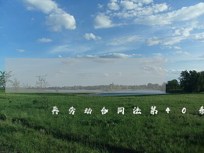 再劳动合同法第40条 再劳动合同法第40条