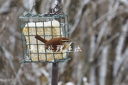 再去处理违法 再去处理违法