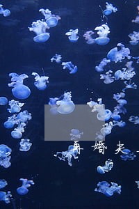 再婚夫妻离婚协议书 再婚夫妻离婚协议书