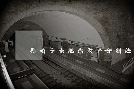 再婚子女继承财产分割法律咨询 再婚子女继承财产分割法律咨询