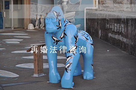 再婚法律咨询 再婚法律咨询