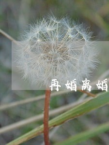 再婚离婚协议书怎么写 再婚离婚协议书怎么写