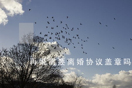 再婚需要离婚协议盖章吗 再婚需要离婚协议盖章吗