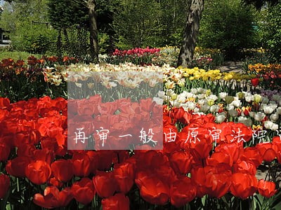 再审一般由原审法院审理吗