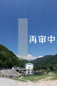 再审中止诉讼怎么办 再审中止诉讼怎么办