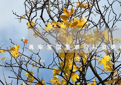 再审发回重审可以变更诉讼请求吗 再审发回重审可以变更诉讼请求吗