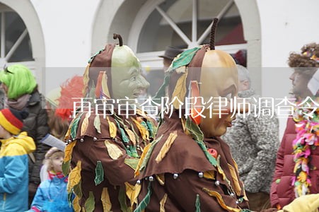再审审查阶段律师调查令 再审审查阶段律师调查令