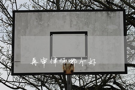 再审律师哪个好