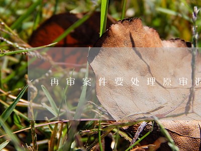 再审案件要处理原审诉讼费吗