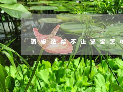 再审法院不让鉴定怎么办 再审法院不让鉴定怎么办
