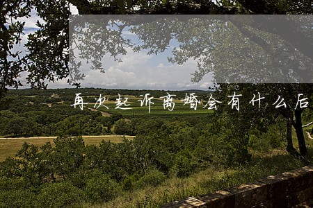 再次起诉离婚会有什么后果 再次起诉离婚会有什么后果