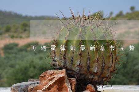 再遇霍律师最新章节完整版 再遇霍律师最新章节完整版