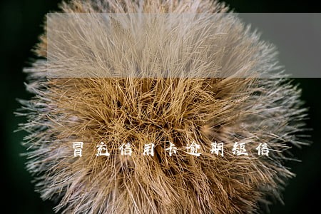 冒充信用卡逾期短信 冒充信用卡逾期短信
