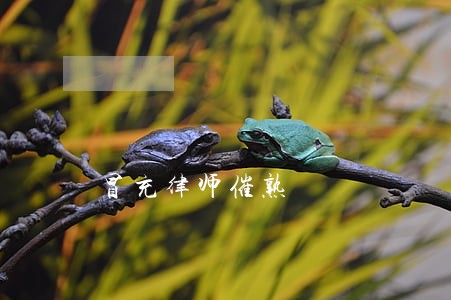 冒充律师催熟 冒充律师催熟