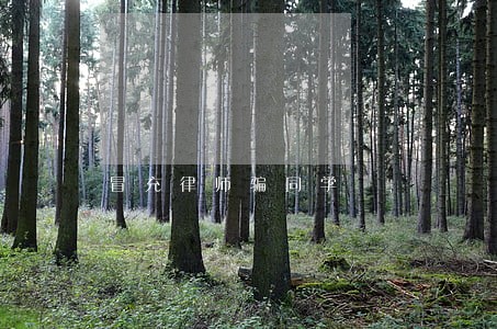 冒充律师骗同学 冒充律师骗同学