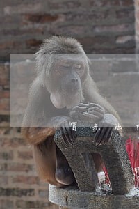 冒充法院上门送传票 冒充法院上门送传票