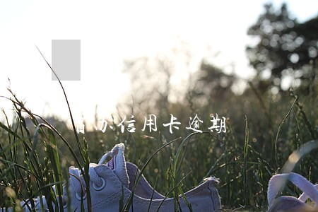 冒办信用卡逾期 冒办信用卡逾期