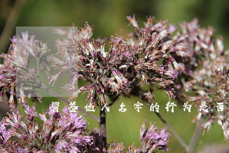 冒签他人名字的行为是否违法 冒签他人名字的行为是否违法
