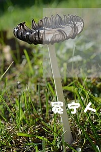 冕宁人身损害律师查询 冕宁人身损害律师查询