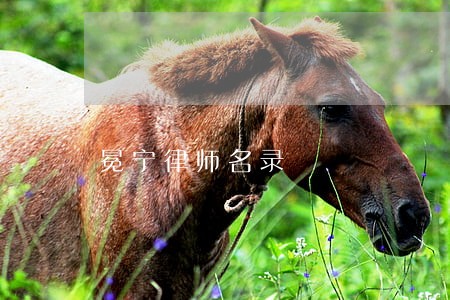 冕宁律师名录 冕宁律师名录