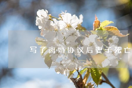 写了离婚协议后妻子死亡 写了离婚协议后妻子死亡