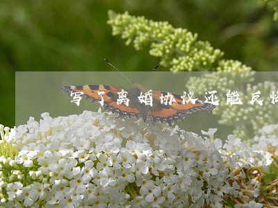写了离婚协议还能反悔吗 写了离婚协议还能反悔吗